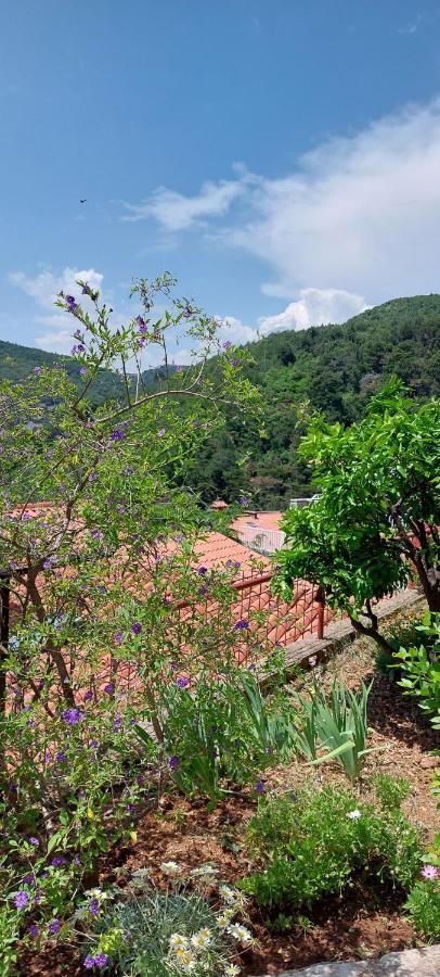 Apartment Park Rabac Exterior foto